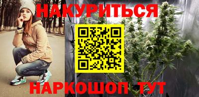 стафф Нальчик