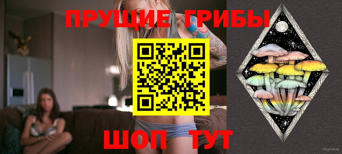 Псилоцибиновые грибы MAGIC MUSHROOMS Элиста